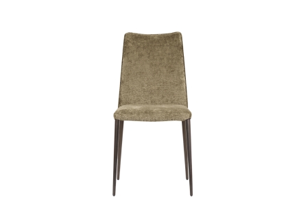 CS2249 FAY