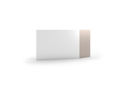 CS5110-O VIEWPOINTS